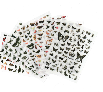 BUTTERFLY STICKERS | NSB6F
