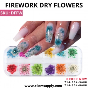 FIREWORK DRY FLOWERS