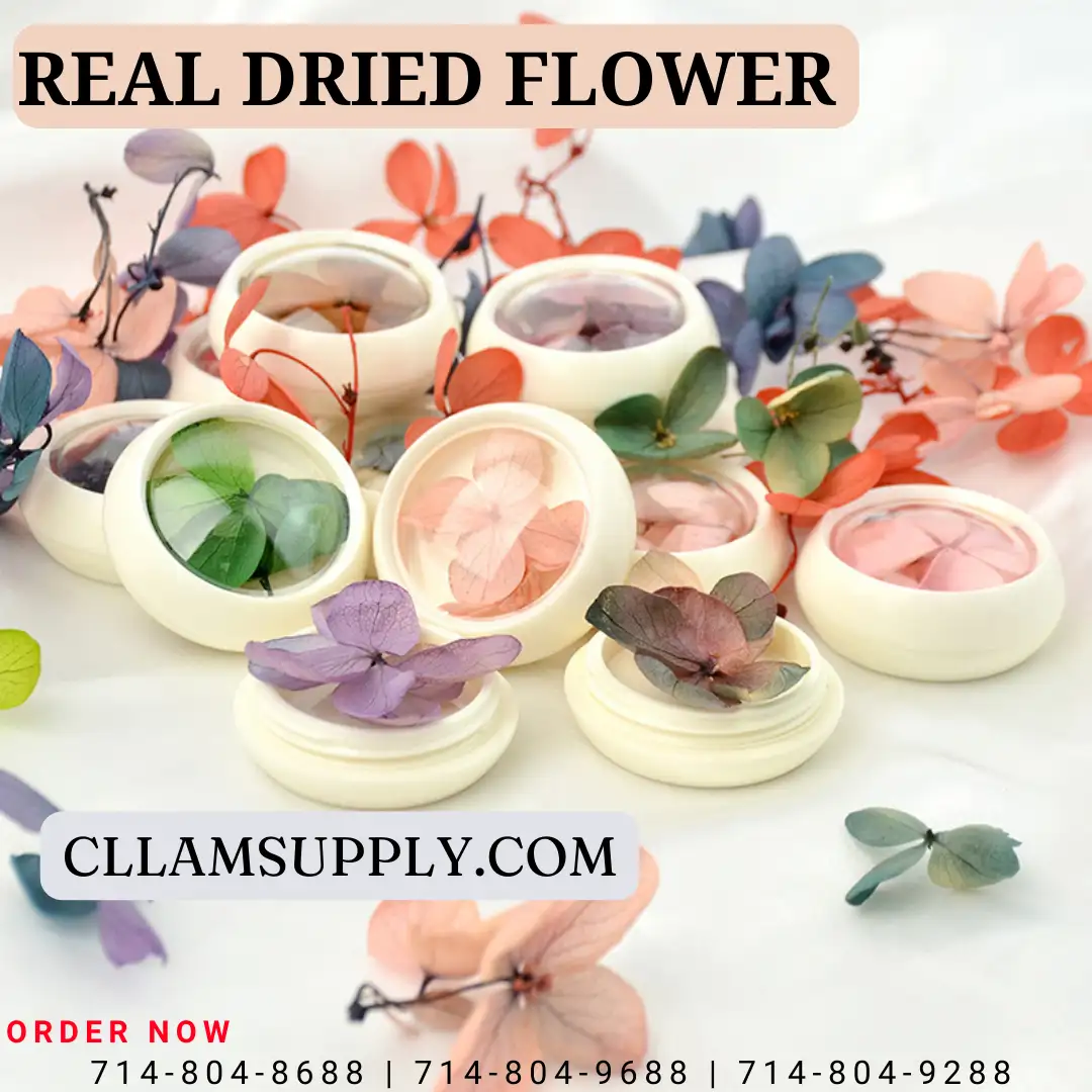 REAL DRIED FLOWER - SET 12